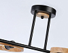 Люстра на штанге Ambrella Light TR TR8248 100_100_2023599