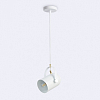 Подвесной светильник Ambrella Light TR TR8205 100_100_2015722