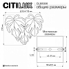 Накладной светильник Citilux DRYAD CL305330 100_100_2820375