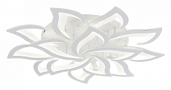 Потолочная люстра Natali Kovaltseva Olimp LED LAMPS 81335 250_100_1885200