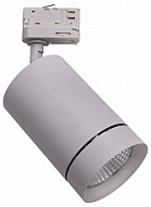 Светильник на штанге Lightstar Canno 303594 500_191_2232453