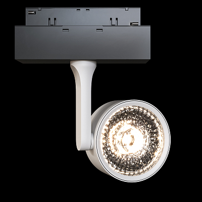 Трековый светильник Technical TR024-2-10W3K 400_400_2709244
