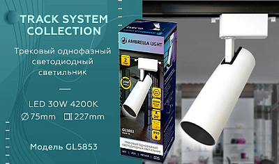 Светильник на штанге Ambrella Light GL GL5853 400_400_2004653