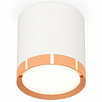 Накладной светильник Ambrella Light XS XS8141005 250_100_Array