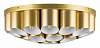 Потолочная люстра Lightstar Siena 720222 100_100_2432306