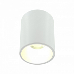 Накладной светильник LIGHTERA Shamrock LE201CL-1WA 250_100_2049188