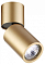 Накладной светильник Odeon Light Duetta 3895/1C