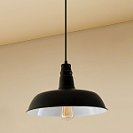 Подвесной светильник Citilux Эдисон CL450205 250_100_1693432