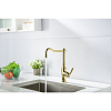 AQ1580PG КЛАССИК смеситель Смесители для кухни, полир. Золотой 100_100_2409966