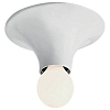 Накладной светильник Artemide  A048120 100_100_3103478