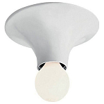 Накладной светильник Artemide  A048120 250_100_Array