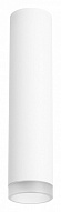 Накладной светильник Lightstar Rullo R49630 500_191_2448416