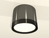 Накладной светильник Ambrella Light XS XS8115001 250_100_2012798