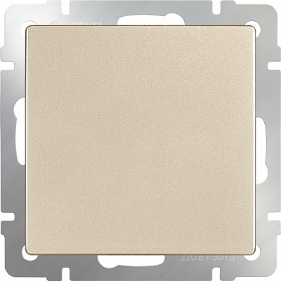 Заглушка для поста Werkel шампань W1159211 400_400_2128375