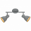Спот Arte Lamp Jovi A1677PL-2GY 100_100_1821327