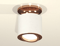 Накладной светильник Ambrella Light XS XS7401140 250_100_2006145