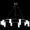 Подвесная люстра Lightstar Rullo LR0203658650 100_100_1718697