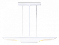 Подвесной светильник Ambrella Light TN TN5155 250_100_2019258