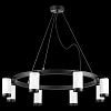 Подвесная люстра Lightstar Rullo LR01836837 100_100_1718409