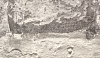 Обои Grandeco (Wanderlust) арт WL 3301 винил на флизелине, рулон 10,05х0,53 (1*12) 100_100_2152512