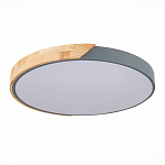 SLE200972-01 Светильник потолочный Серый, Светлое дерево/Белый LED 1*45W 3000K/4000K/6000K ФЕСТА 250_100_2954721