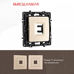 Розетка для вывод кабеля без рамки Arte Milano am-217 217.49-1.shampan 250_100_2167942