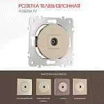 ТВ-розетка без рамки Arte Milano am-202 202.43-1.shampan 250_100_2165909