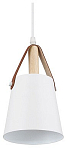 Подвесной светильник Arte Lamp Thomas A7032SP-1WH 250_100_Array