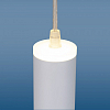 Подвесной светильник Elektrostandard DLR035 a043959 100_100_1771587