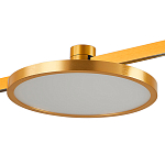 ST818.206.12 Магнитный трековый светильник FARM Золотистый LED 1*10W 3000K 520Lm Ra80 120 IP20 D168x ФАРМ 250_100_2946484