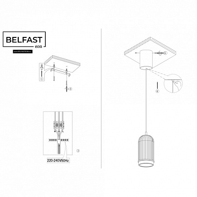 Подвесной светильник Belfast PINERIDGE FS-380-D1 BR 400_400_2858989