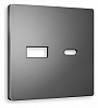 Накладка для розетки type A и C Ambrella Volt ALFA AP6610 100_100_2306703