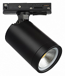Светильник на штанге Lightstar Rullo 212937 250_100_Array