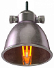 Бра Covali  WL-50732 100_100_2052216
