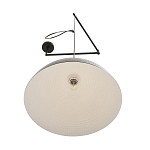 Подвесной светильник Lumion MODERNI 8321/1C 250_100_3091252