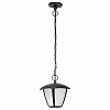 Подвесной светильник Lightstar Lampione 375070 100_100_1714137