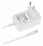 Блок питания с проводом Arlight ARDV 039979 250_100_2388791