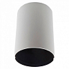 Накладной светильник Lightstar Ottico 214410 100_100_2448263