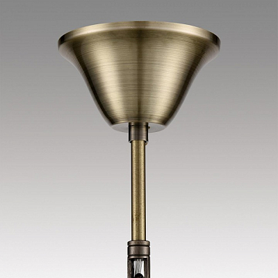 Подвесная люстра Lumion Linn 8190/8 400_400_1866408