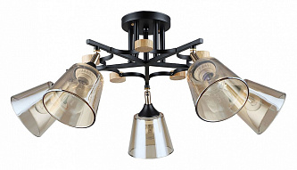 Люстра на штанге Arte Lamp Glassy A5078PL-5BK 500_191_2422019