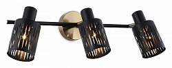 Спот Ambrella Light TR TR8669 250_100_2030009