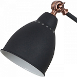 Настольная лампа офисная Arte Lamp Braccio A2054LT-1BK 250_100_1821128