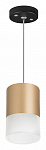 Подвесной светильник Lightstar Rullo RP349081 250_100_1717808