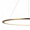 Подвесной светильник Loft it Ring 10014L 100_100_1845855