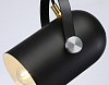 Подвесной светильник Ambrella Light TR TR8206 100_100_2015730