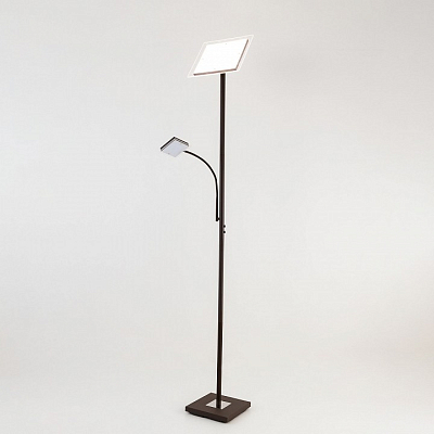 Торшер с подсветкой Citilux Харди CL802015 400_400_1672977