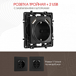 Розетка с заземлением и со шторкой и 2хUSB, без рамки Arte Milano am-217 217.47-1.black 250_100_2167917