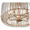 Накладной светильник Vele Luce Angelica VL3044L05 100_100_1909402