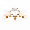 Потолочная люстра Ambrella Light TR TR303323 100_100_2431381
