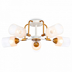 Потолочная люстра Ambrella Light TR TR303323 250_100_Array